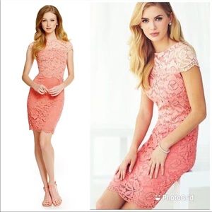 Antonio Melani Kaylee Scalloped Ombre-Lace